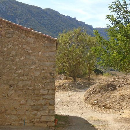 Chambre D'Hote Cucugnan Esterno foto